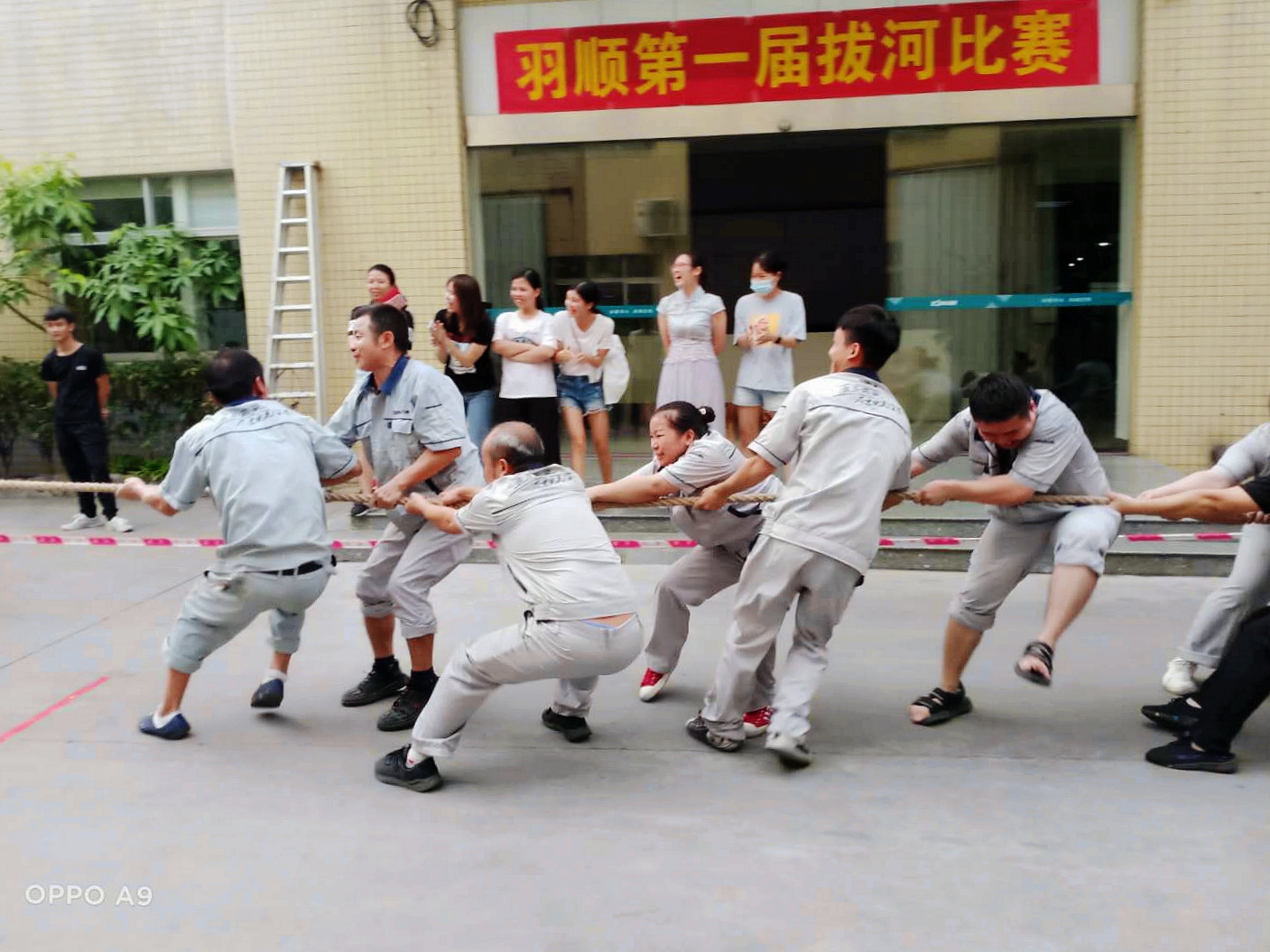 多彩羽順｜激發(fā)干勁享快樂 強健體魄益身心